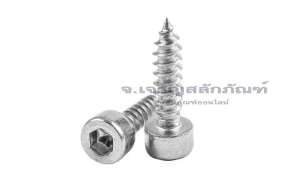 สกรูเกลียวปล่อยหัวจมสแตนเลส (Hex Socket Self Tapping Screw) M3x12