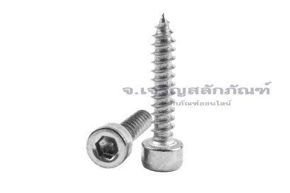 สกรูเกลียวปล่อยหัวจมสแตนเลส (Hex Socket Self Tapping Screw) M3x16