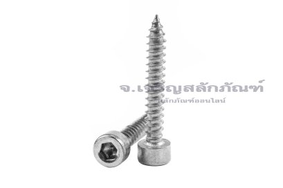 สกรูเกลียวปล่อยหัวจมสแตนเลส (Hex Socket Self Tapping Screw) M3x20
