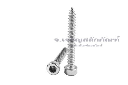 สกรูเกลียวปล่อยหัวจมสแตนเลส (Hex Socket Self Tapping Screw) M3x25