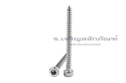 สกรูเกลียวปล่อยหัวจมสแตนเลส (Hex Socket Self Tapping Screw) M3x35