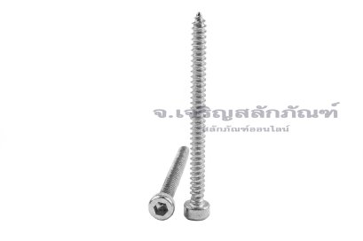 สกรูเกลียวปล่อยหัวจมสแตนเลส (Hex Socket Self Tapping Screw) M3x40