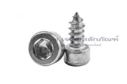 สกรูเกลียวปล่อยหัวจมสแตนเลส (Hex Socket Self Tapping Screw) M3x6