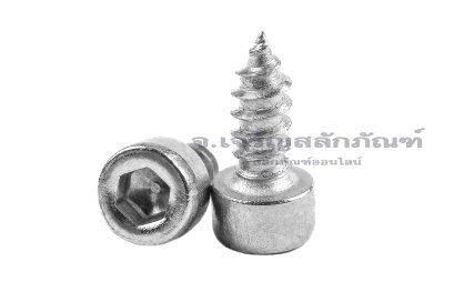 สกรูเกลียวปล่อยหัวจมสแตนเลส (Hex Socket Self Tapping Screw) M3x8
