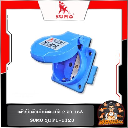 เต้ารับตัวเมียติดผนัง 2 ขา 16A รุ่น P1-1123 SUMO