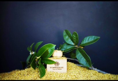 น้ำหอมสกัดจากดอกหมื่นลี้ 50ml (หมด)