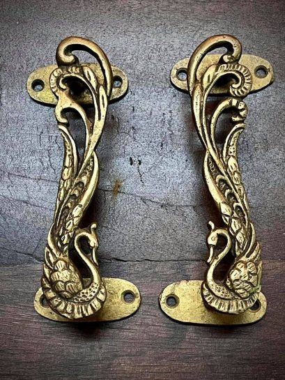 คู่มือจับทองเหลืองนกยูง