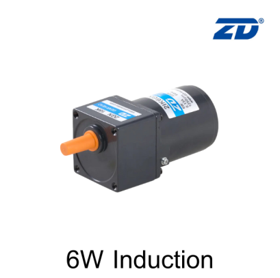 6W Induction AC Motor/Gear Motor