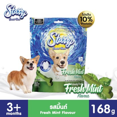 Starry (สตาร์รี่)