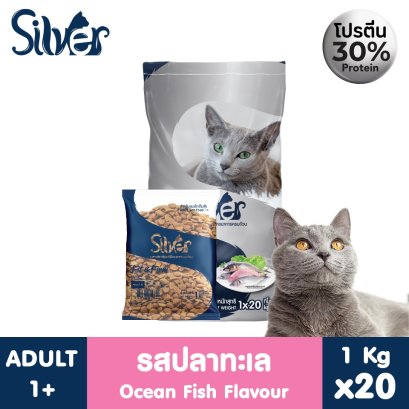 Silver (ซิลเวอร์)