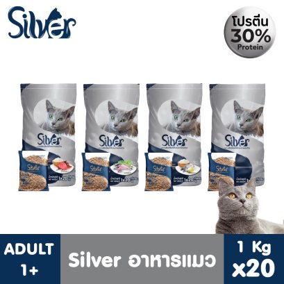 Silver (ซิลเวอร์) 1kg x 20 ถุง