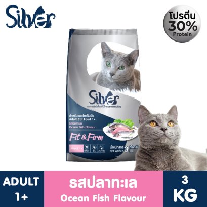 Silver (ซิลเวอร์)
