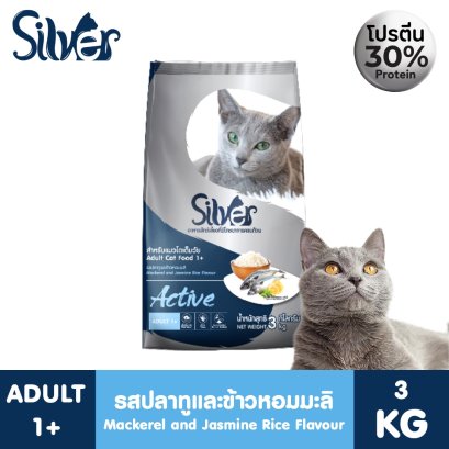 Silver (ซิลเวอร์)