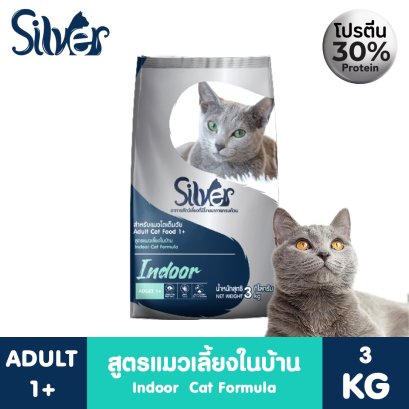 Silver (ซิลเวอร์)