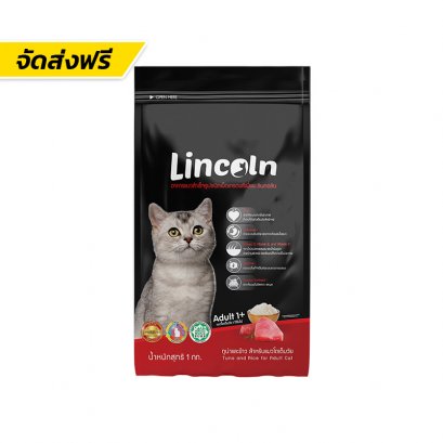 Lincoln (ลินคอร์น)