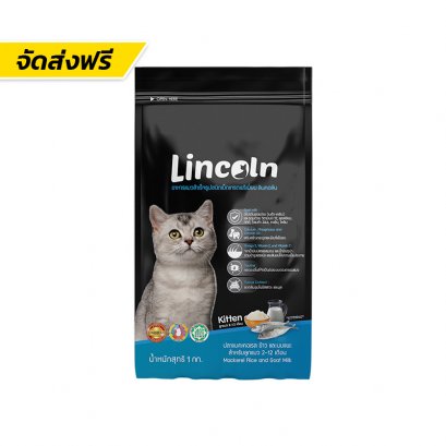 Lincoln (ลินคอร์น)