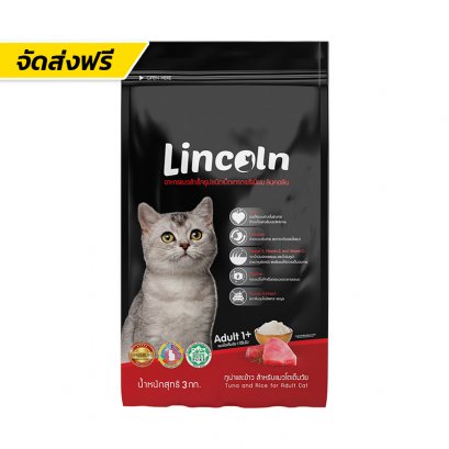 Lincoln (ลินคอร์น)