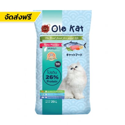 Ole Kat (โอเล่ แคท)