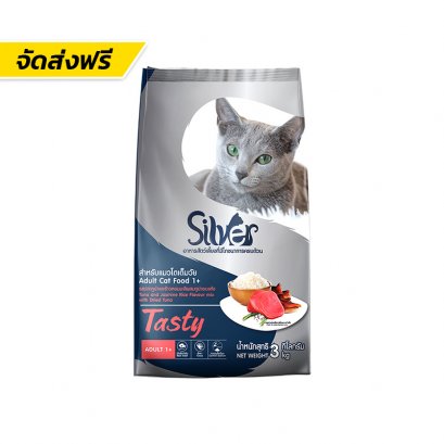 Silver (ซิลเวอร์)