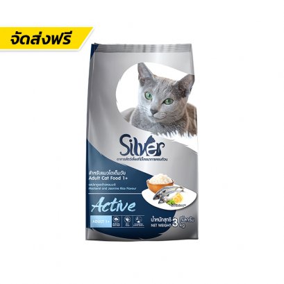 Silver (ซิลเวอร์)