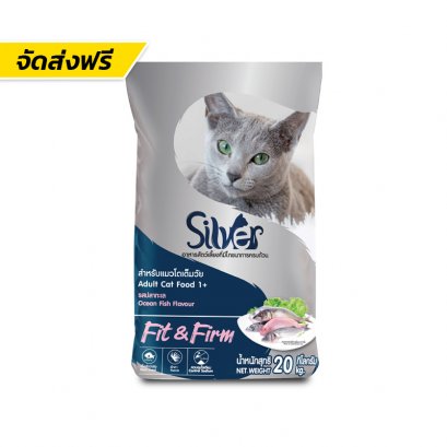 Silver (ซิลเวอร์)