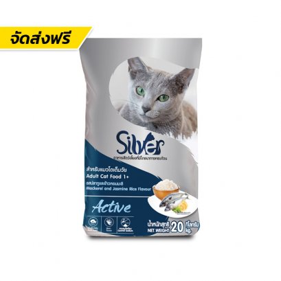 Silver (ซิลเวอร์)