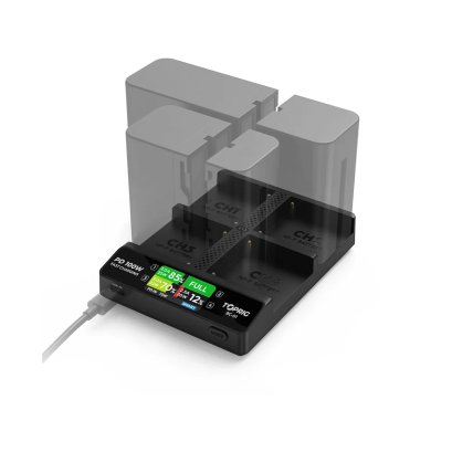 Accsoon TOPRIG 4-Bay NP-F Fast Charger