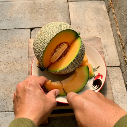 โมมิจิ (S)