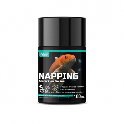 DEEP : NAPPING