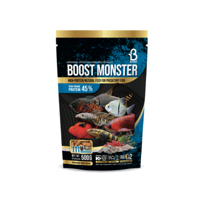 BOOST MONSTER