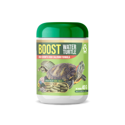 BOOST TURTLE