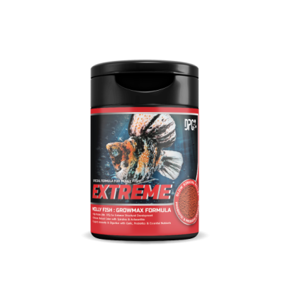 DPG EXTREME MOLLY FISH : Gromax formula