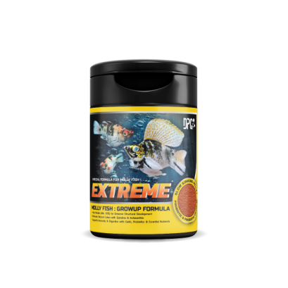 DPG EXTREME MOLLY FISH : Growup formula