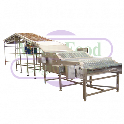 BISCUIT STACKING LINE