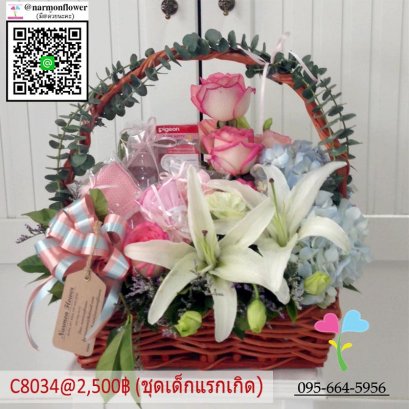 กระเช้าเด็กแรกเกิด C8034