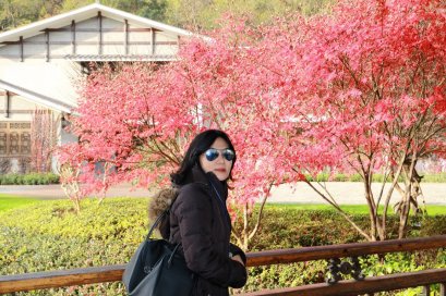 จางเจี้ยเจี้ยน  2-6 DEC 2016