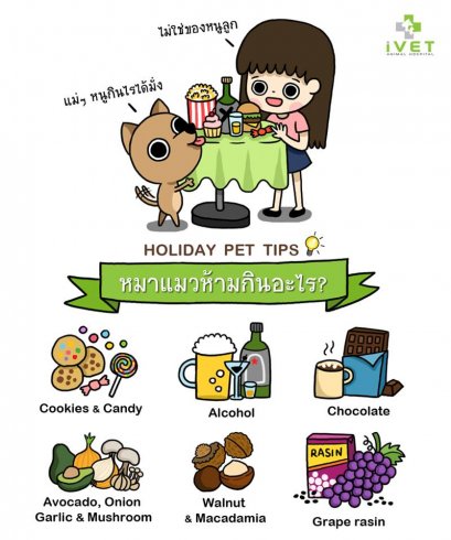 น้องแมว น้องหมา ห้ามกินอะไร ?