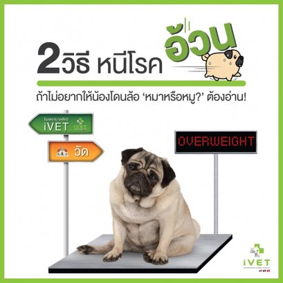 2 วิธี หนีโรคอ้วน! 
