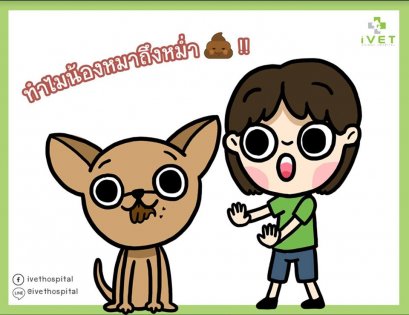 ทำไมน้องหมาถึงชอบกินอึตัวเอง เพราะอะไร