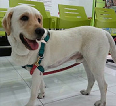 เรื่อง ผมชื่อ “เต” ติดเชื้อไวรัสลำไส้อักเสบ