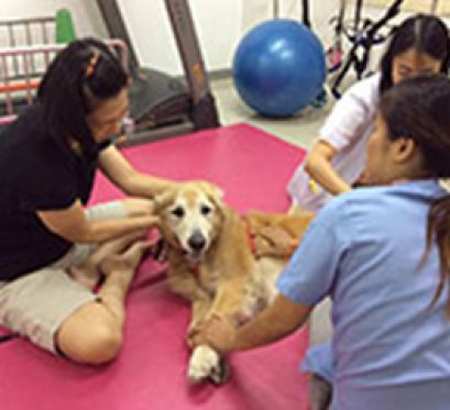 เรื่อง เจ้า "แทงโก้" ผมมีปัญหาเจ็บข้อสะโพกครับ 