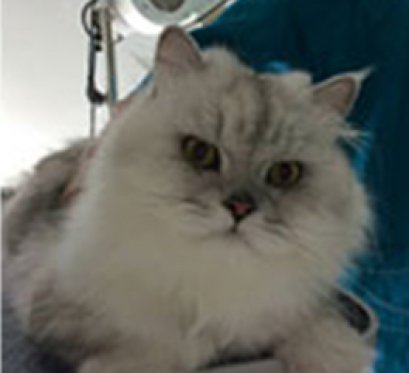 ผมชื่อ “ที่รัก” โรคผิวหนังป้องกันไว้ก่อน