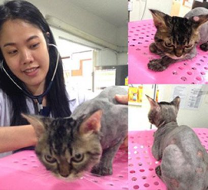 เรื่อง น้อง “ปูน” ติดเชื้อรา โรคผิวหนัง
