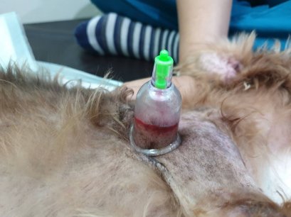 การครอบแก้วนั้น