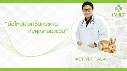 "มือใหม่เลือกซื้อกระต่ายกับคุณหมอตะวัน"