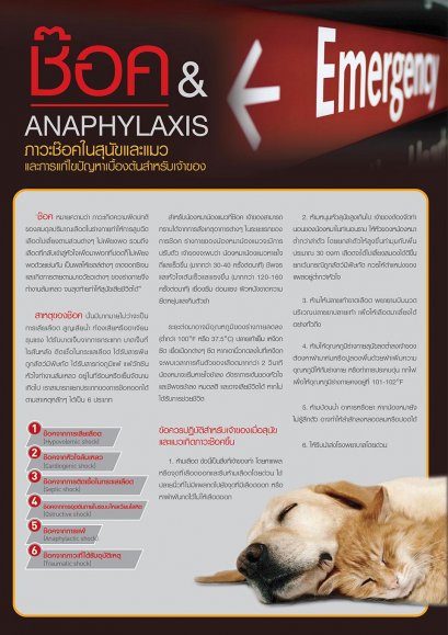 ภาวะช็อคใน สนุัข และ แนว