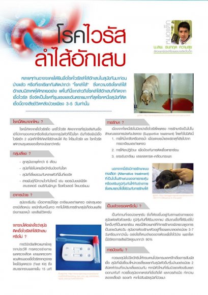 โรคไวรัสลำไส้อักเสบ