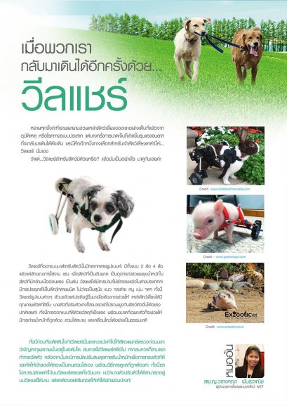 วิลแชร์ ทำให้เรากลับมาเดินได้อีกครั้ง