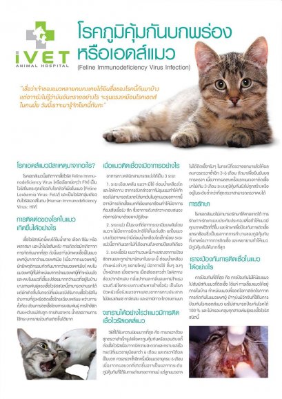 โรคภูมิคุ้มกันบกพร่อง หรือ เอดส์แมว