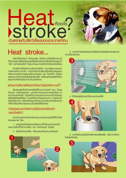 Heat Stroke คืออะไร ?